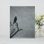 Magestic Crow (Standing Front)