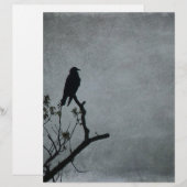 Magestic Crow (Front/Back)