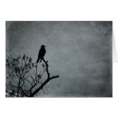 Magestic Crow (Front Horizontal)