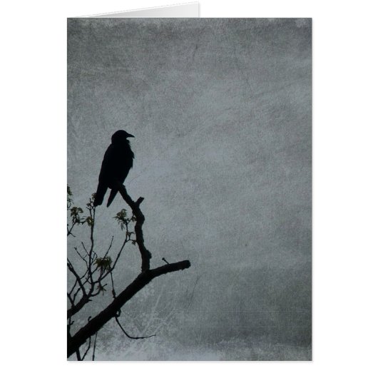 Magestic Crow Cards (Front)