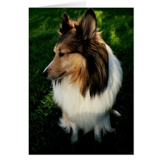 Maggie Card 2 (Front)