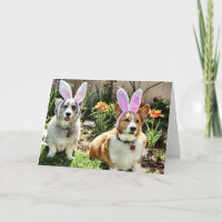 Maggie & Chuck Holiday Card