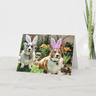 Maggie & Chuck Holiday Card