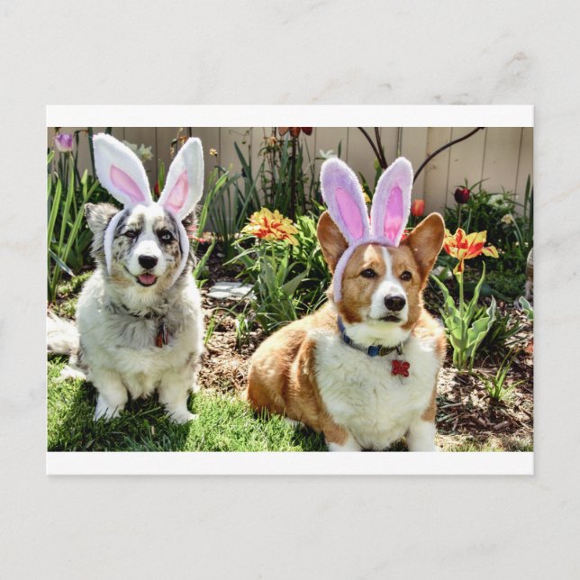 Maggie & Chuck Postcard (Front)