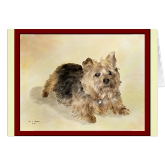 Maggie...Daydreaming!...Card Cards (Front Horizontal)