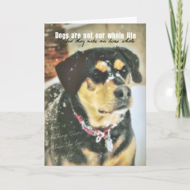MAGGIE MAE Greeting Card (Front)