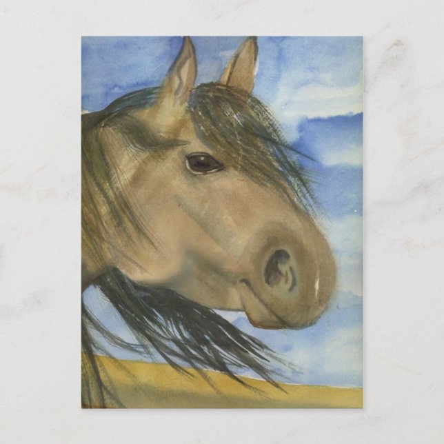 Magic, An American Mustang Postcard (Front)