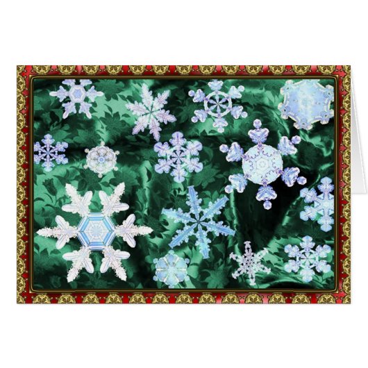 Magic and Wonder of Snow Flakes #5 Cards (Front Horizontal)