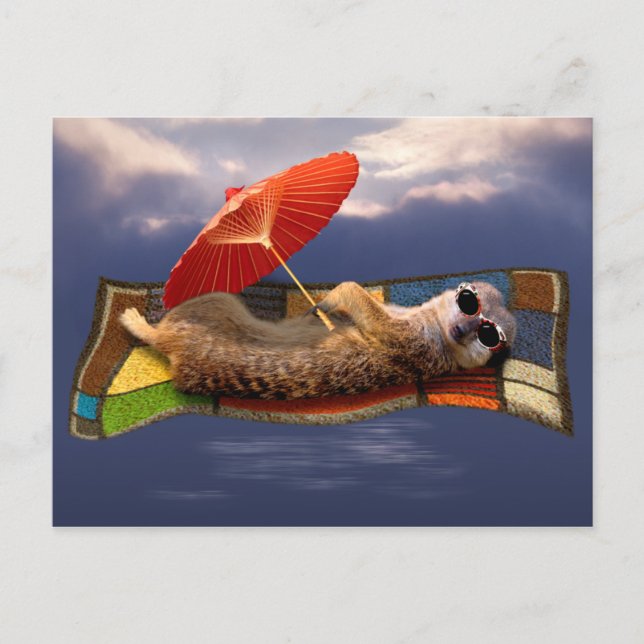 Magic Carpet Ride Postcard (Front)