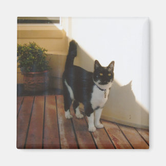 Magic Cat - Customized Magnet