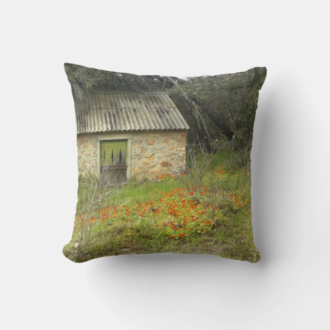 Magic countryside cottage Pillow (Front)