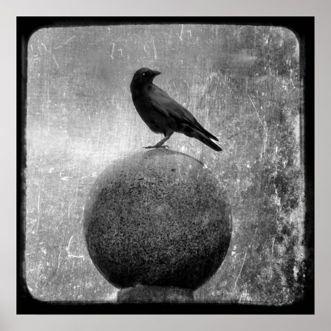 Magic Crow Poster (Front)