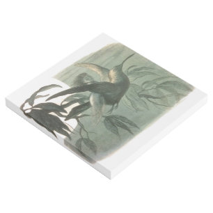 Magic Elf Flying Night Moon Art