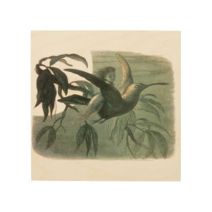 Magic Elf Flying Night Moon Art