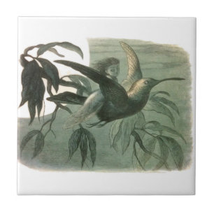 Magic Elf Flying Night Moon Art Ceramic Tile