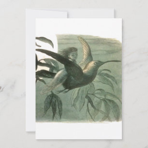 Magic Elf Flying Night Moon Art Invitation