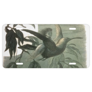 Magic Elf Flying Night Moon Art License Plate