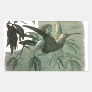 Magic Elf Flying Night Moon Art Rectangular Sticker