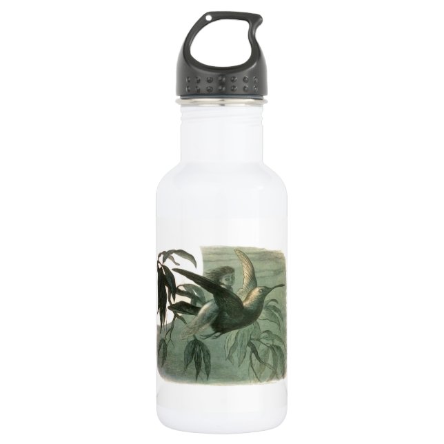 Magic Elf Flying Night Moon Art Stainless Steel Water Bottle (Front)