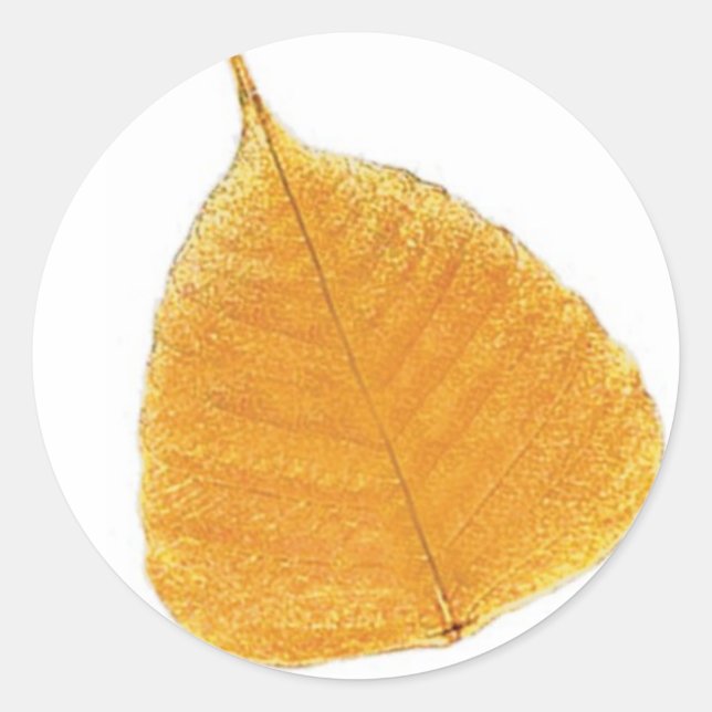 Magic Forest Golden Leaf Classic Round Sticker (Front)
