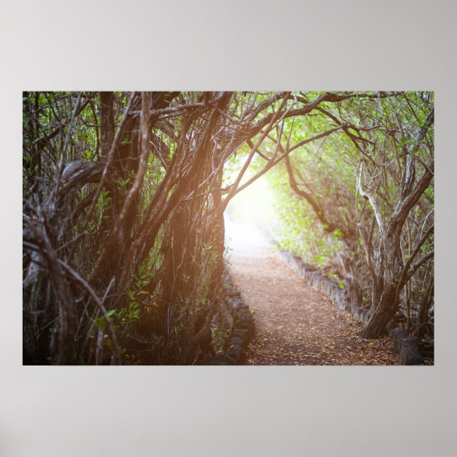 Magic forest in the morning poster (Front)