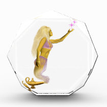 Magic Genie of the Lamp Award Magic Genie of the Lamp Award