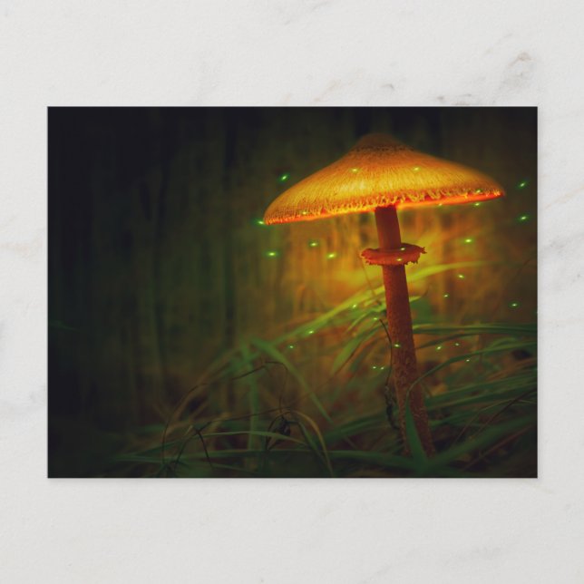 Magic glowing mushroom postcard (Front)