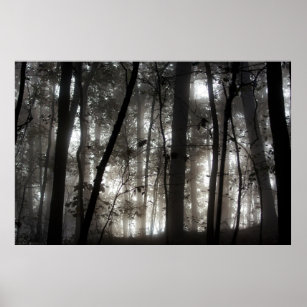 Magic Hour Dance of Fog and Light Among the Trees Poster