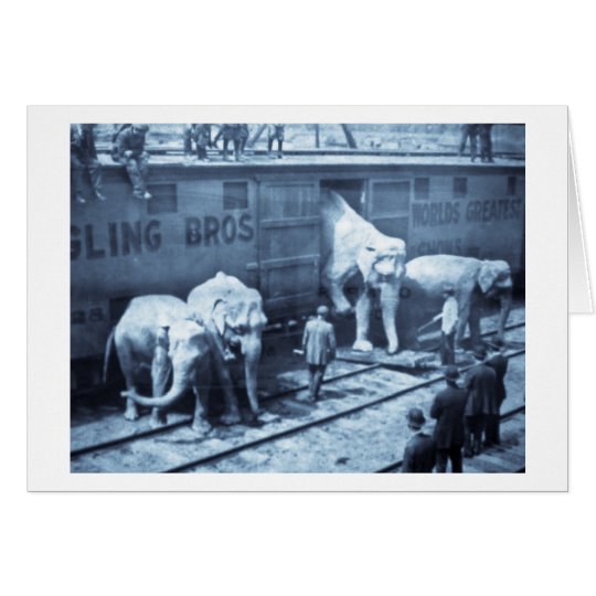 Magic Lantern Slide Ringling Bros Elephant Train Card