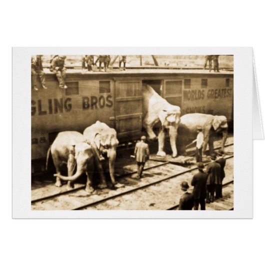 Magic Lantern Slide Ringling Bros Elephant Train Cards (Front Horizontal)