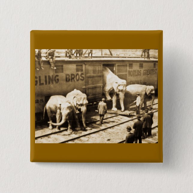 Magic Lantern Slide Ringling Bros Elephant Train Pinback Button (Front)