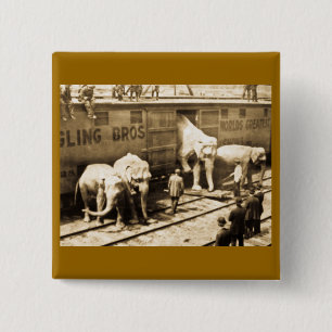 Magic Lantern Slide Ringling Bros Elephant Train Pinback Button