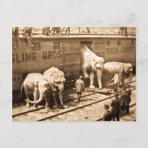 Magic Lantern Slide Ringling Bros Elephant Train Postcard