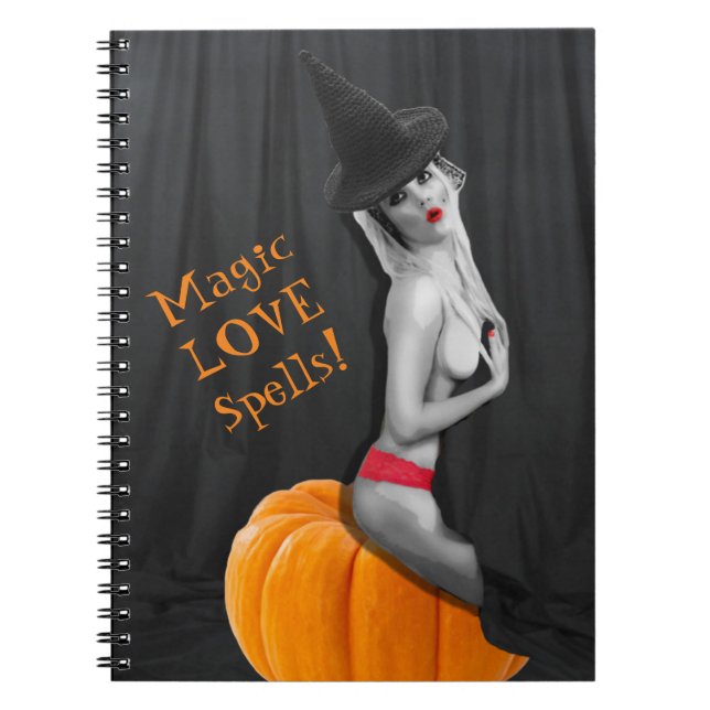 Magic Love Spells Book Notebook Journal Witchcraft (Front)