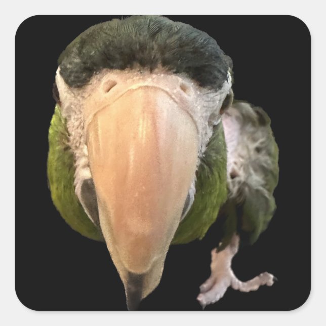 magic mikey super stickers (Front)