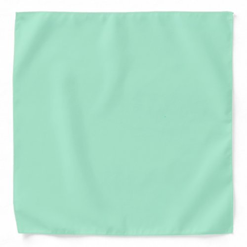 Magic Mint Solid Color Bandana