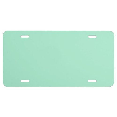 Magic Mint Solid Color License Plate