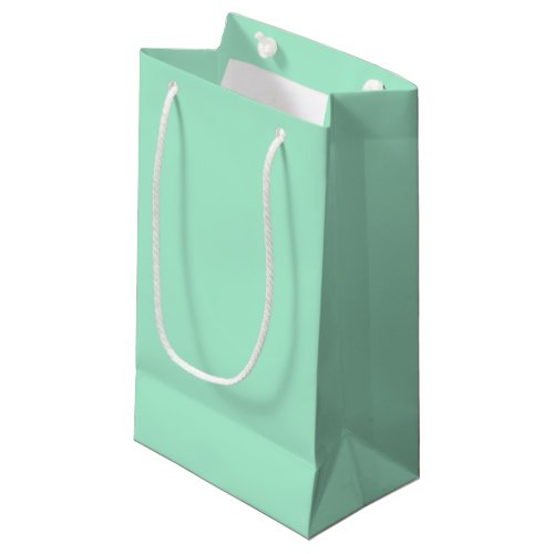 Magic Mint Solid Color Small Gift Bag