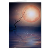 magic-moon.png (Front)