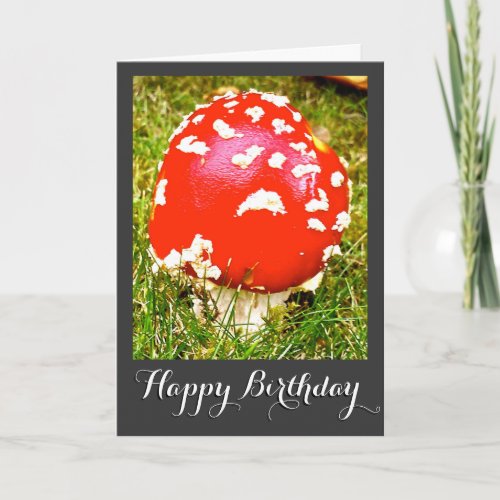 Magic Mushroom Happy Birthday Card