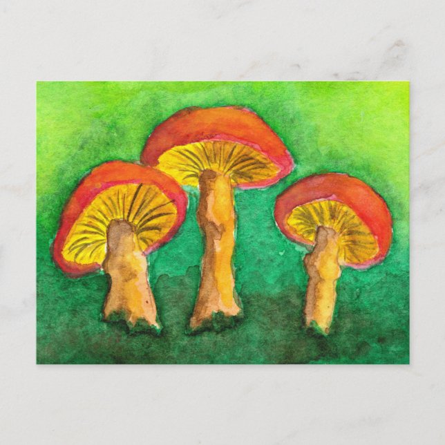 Magic Mushroom Trio Postcard (Front)