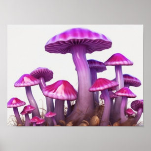 Magic Mushrooms Poster