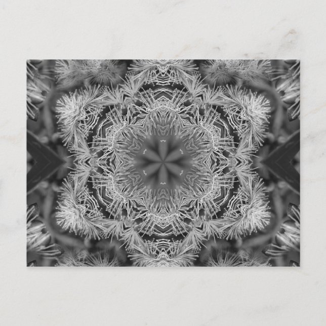 magic nature mandala horizontal postcard (Front)