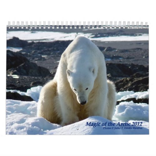 Magic of the Arctic Calendar