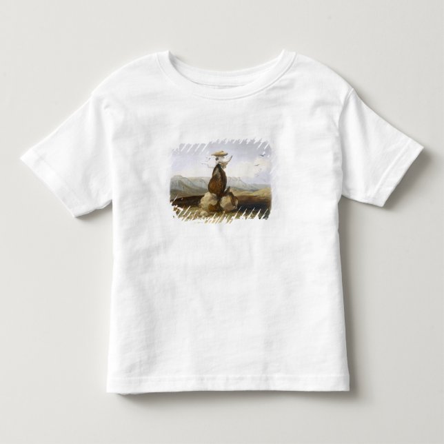 Magic Pile Erected by the Assiniboin Indians, plat Toddler T-shirt (Front)