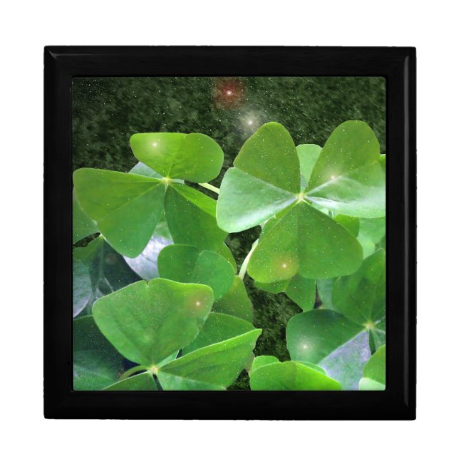 Magic Shamrocks Jewelry Box (Front)