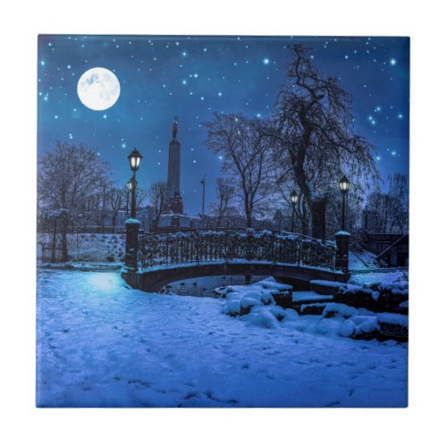 Magic winter night with starry sky and full moon ceramic tile
