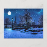 Magic winter night with starry sky and full moon
