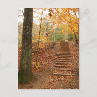 Magic Wood Stairs Postcard