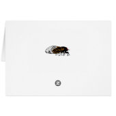 Magicada - Cicada - Cigale - Summer Buzz Cards (Back Horizontal)